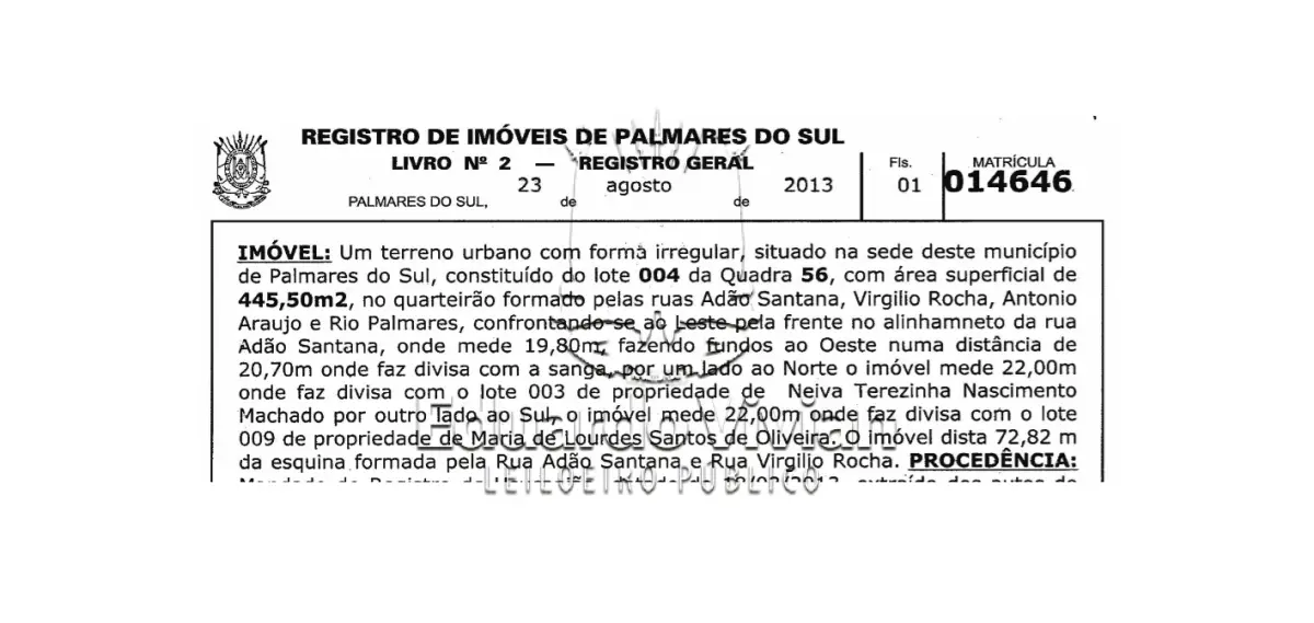 LOTE 001 - VENDA JUDICIAL DE SUPERMERCADO EM PALMARES DO SUL