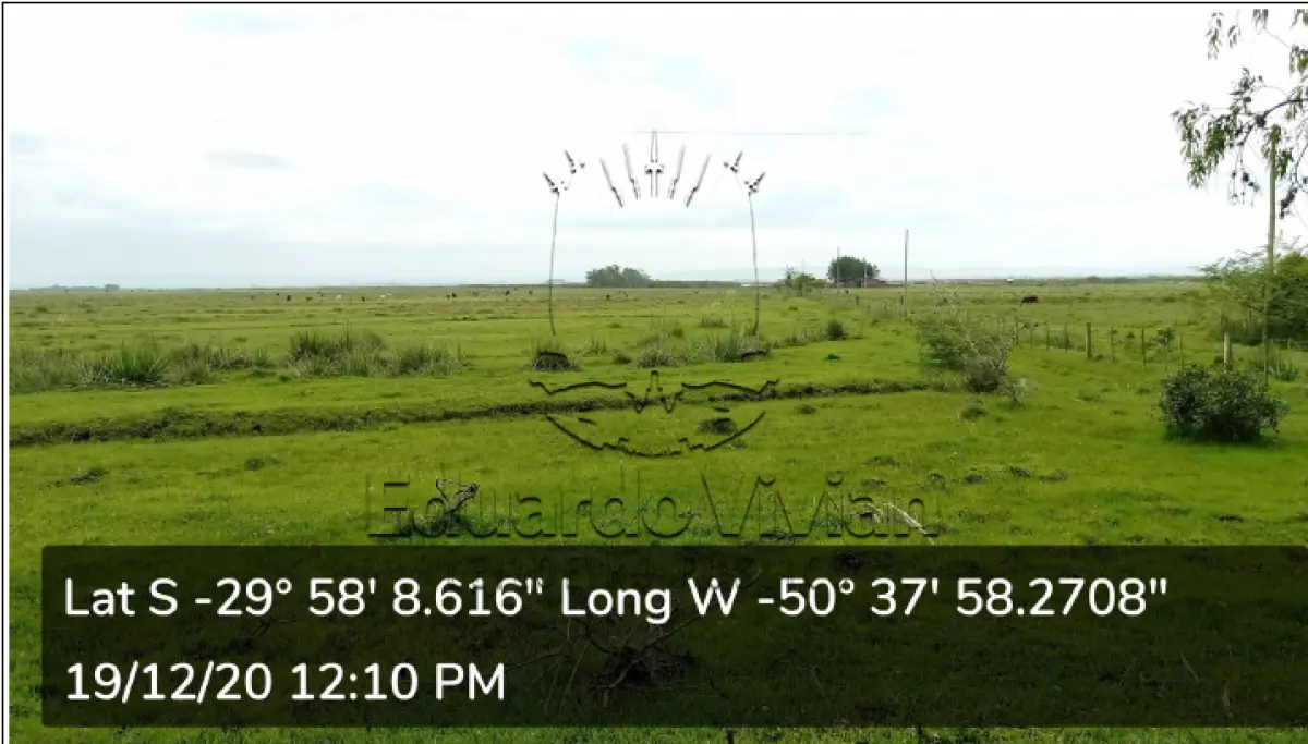 LOTE 001 - VENDA JUDICIAL DE IMÓVEL RURAL PELA COMARCA DE SANTO ANTÔNIO DA PATRULHA COM AREA DE 318.229,00 m2