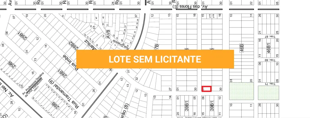 LOTE 001