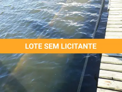 LOTE 004 - VENDA JUDICIAL DE BARCO DE ALUMÍNIO TIPO CHATA MEDINDO 6,06 M