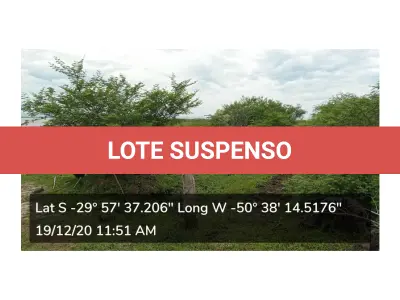 LOTE 001 - VENDA JUDICIAL DE IMÓVEL RURAL PELA COMARCA DE SANTO ANTÔNIO DA PATRULHA COM AREA DE 318.229,00 m2