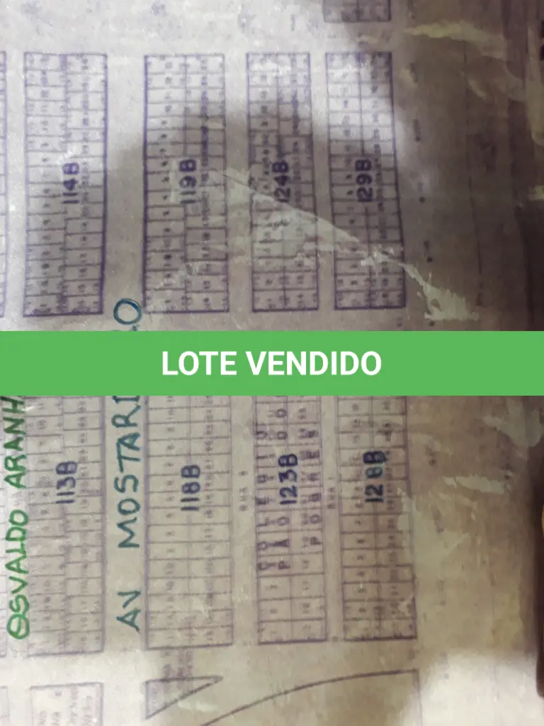 LOTE 001