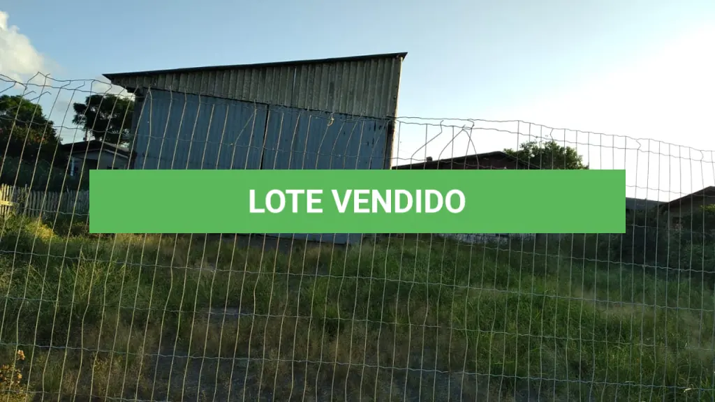 LOTE 001