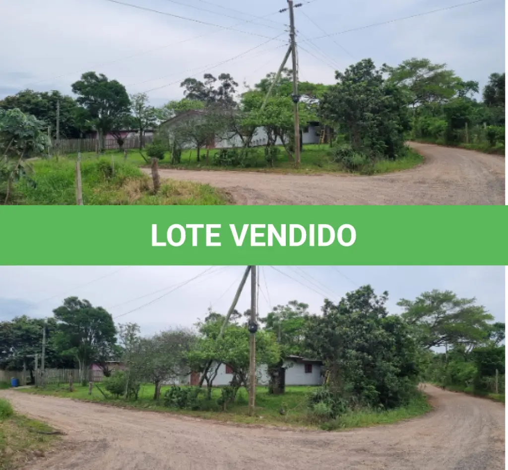 LOTE 001