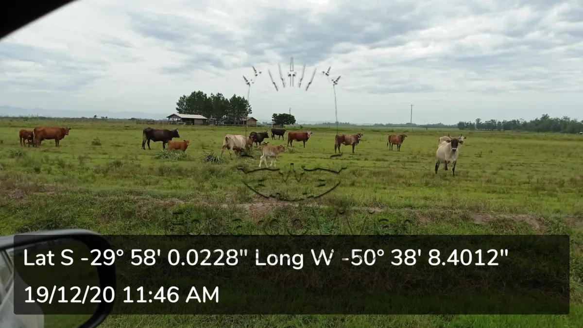 LOTE 001 - VENDA JUDICIAL DE IMÓVEL RURAL PELA COMARCA DE SANTO ANTÔNIO DA PATRULHA COM AREA DE 318.229,00 m2
