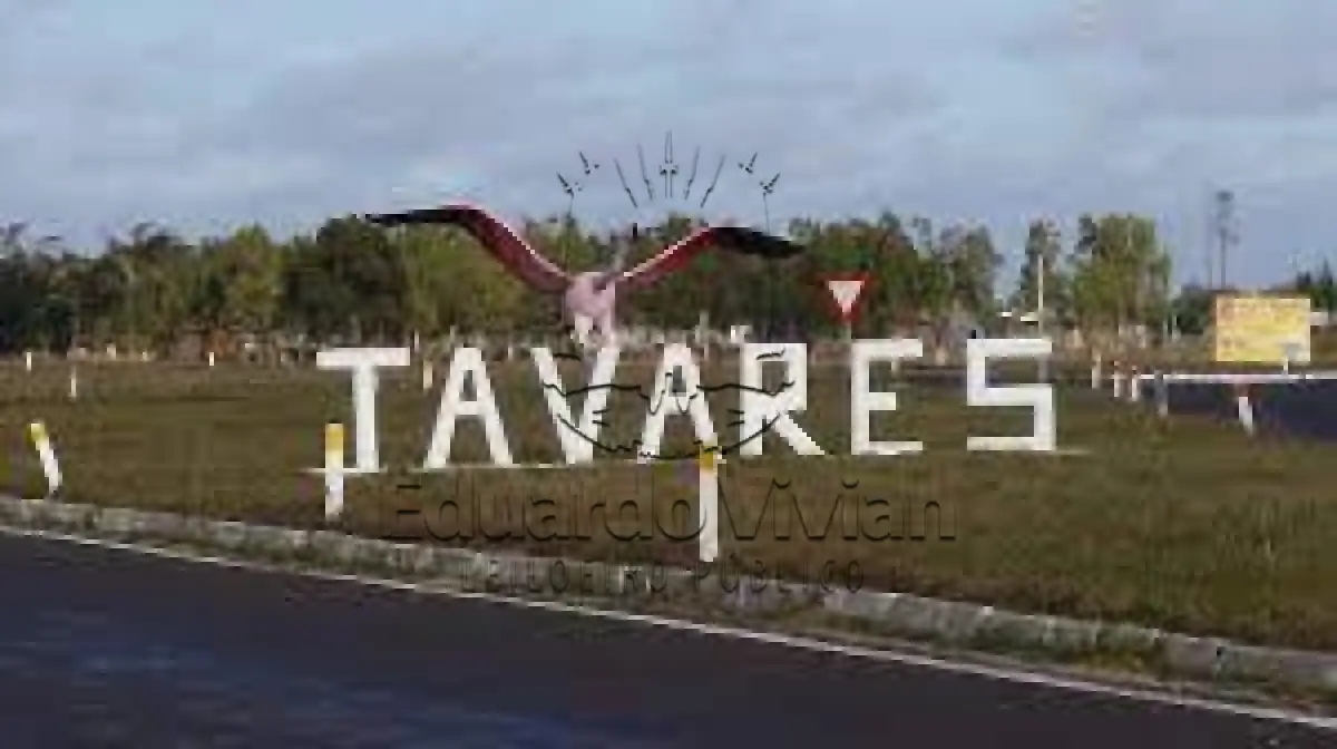 LOTE 001 - VENDA JUDICIAL DE TERRENO EM TAVARES - RS