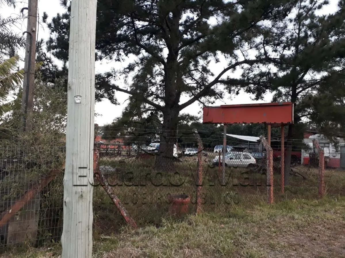 LOTE 001 - Em Terra de Areia, um imóvel com área de 3.385,70 m2 fazendo frente a BR 101, onde funcionou um deposito/venda de gás.