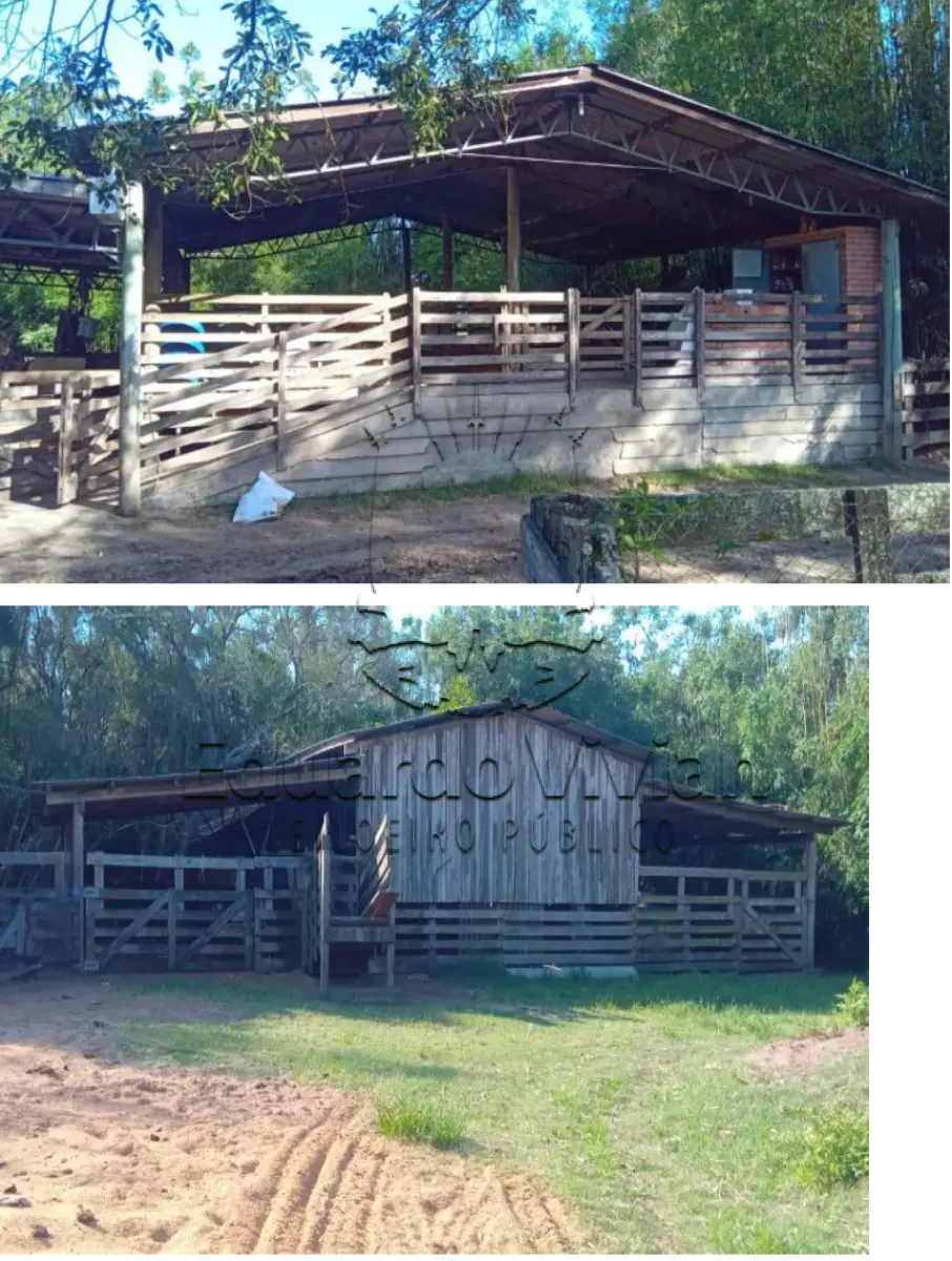 LOTE 000 - Em Palmares do Sul, localidade de Casa Velha, uma área rural equivalente a 19,3 hectares, com benfeitorias (casas, galpões, mangueiras e cercas) e está matriculado sob nº 12.534.