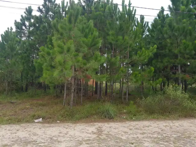 POSTO DA JUSTIÇA DO TRABALHO DE TRAMANDAÍ - VENDA JUDICIAL DE TERRENO EM NOVA TRAMANDAÍ ZONA NORTE.