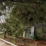 LOTE 01 - Venda Judicial de um terreno urbano com uma edificação, em fase de construção/acabamento, no Loteamento Vila Capri, Bairro Estancia Velha, sendo o lote 22 da Rua O 2, na Quadra 01. Há notícia de que a Rua 02 seria a atual Vista Alegre, tendo a casa o número 222