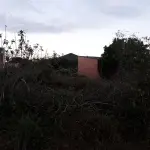 LOTE 001 - VENDA JUDICIAL DE TERRENO EM NOVA TRAMANDAI ZONA NORTE