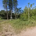 LOTE 001 - Em Palmares do Sul, em Zona Rural, na localidade da Butiatuva, na Sesmaria da Légua do Patrimônio, uma área de terras com 43.560,00 m2