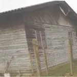 LOTE 001 - CASA DE MADEIRA EM CAPÃO NOVO NA RUA DAS SEMPRE VIVAS, 3258, ESQUINA COM A RUA BIGUÁ.